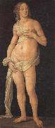 LORENZO DI CREDI Venus oil painting artist